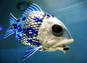 fisk 2